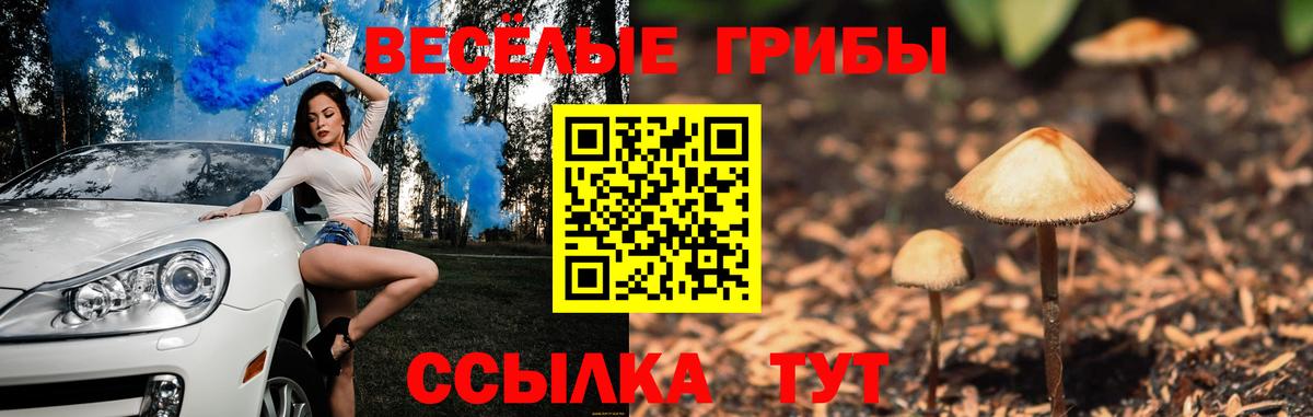 Галлюциногенные грибы Psilocybine cubensis  Вход с VPN  Казань  Галлюциногенные грибы Cubensis 